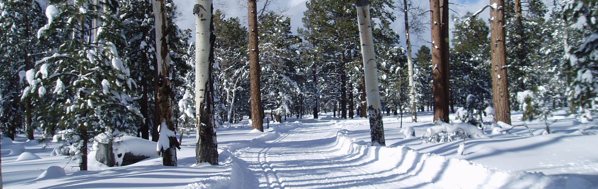 Flagstaff - Arizona